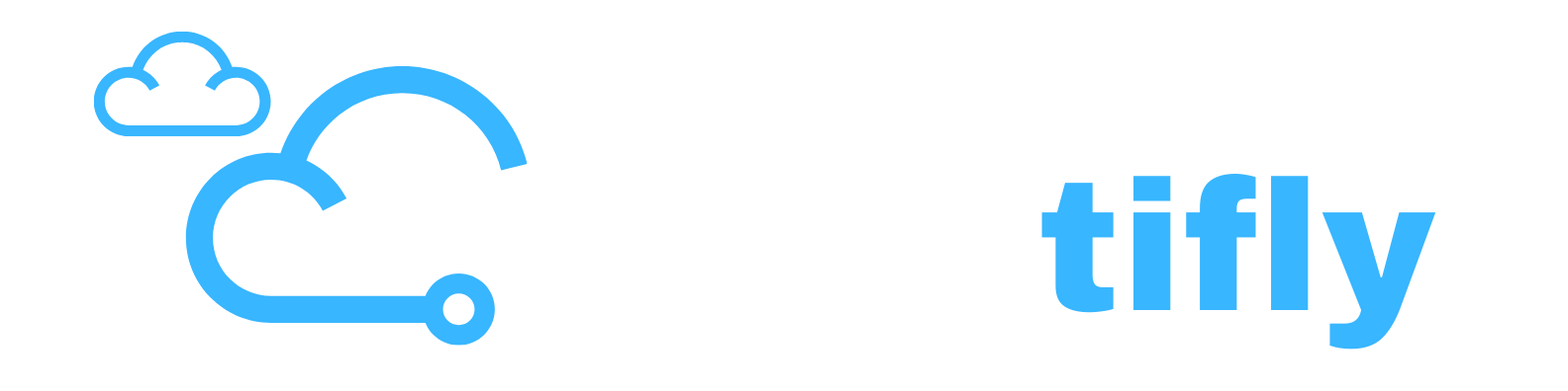 Saastifly